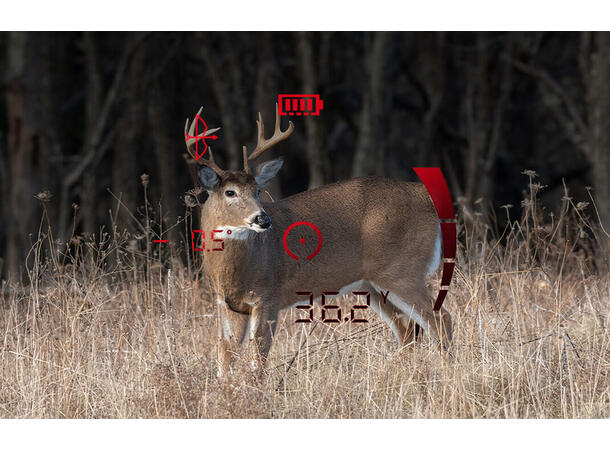 Bushnell Fusion X 10X42 m/ avstandsmåler Håndkikkert med avstandsmåler 